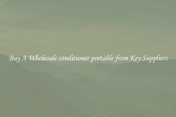 Buy A Wholesale conditioner portable from Key Suppliers