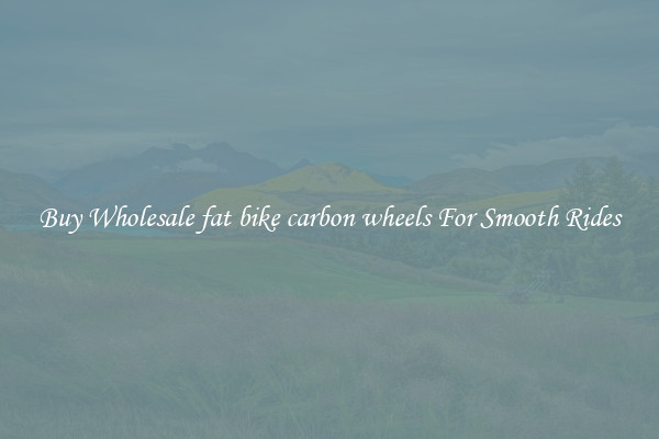 Buy Wholesale fat bike carbon wheels For Smooth Rides