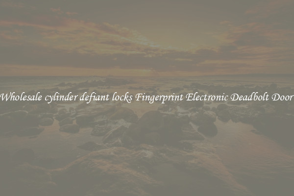 Wholesale cylinder defiant locks Fingerprint Electronic Deadbolt Door 