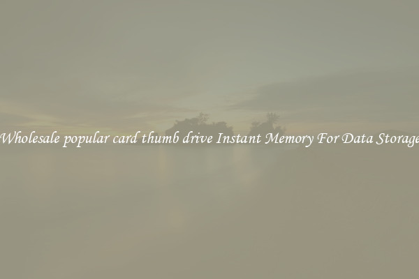 Wholesale popular card thumb drive Instant Memory For Data Storage