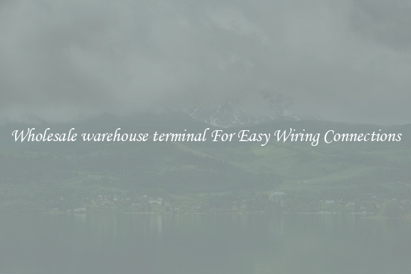 Wholesale warehouse terminal For Easy Wiring Connections