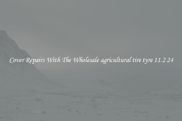  Cover Repairs With The Wholesale agricultural tire tyre 11.2 24 