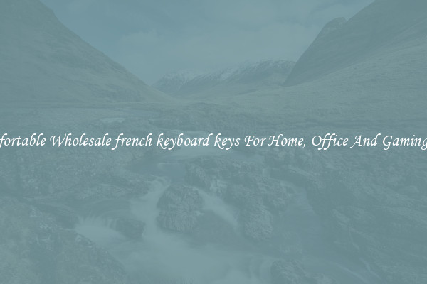 Comfortable Wholesale french keyboard keys For Home, Office And Gaming Use