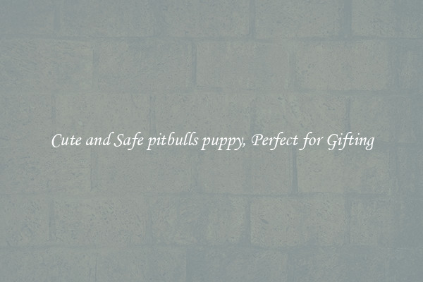 Cute and Safe pitbulls puppy, Perfect for Gifting