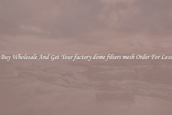 Buy Wholesale And Get Your factory dome filters mesh Order For Less