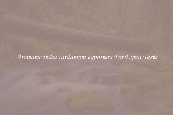 Aromatic india cardamom exporters For Extra Taste
