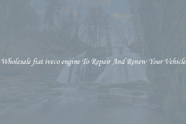 Wholesale fiat iveco engine To Repair And Renew Your Vehicle