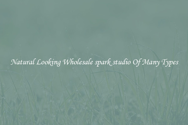 Natural Looking Wholesale spark studio Of Many Types