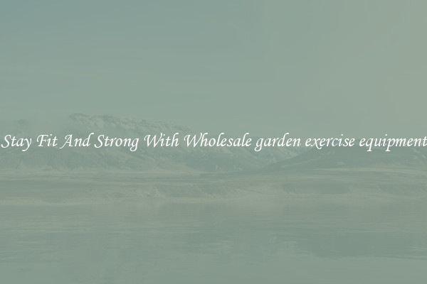 Stay Fit And Strong With Wholesale garden exercise equipment
