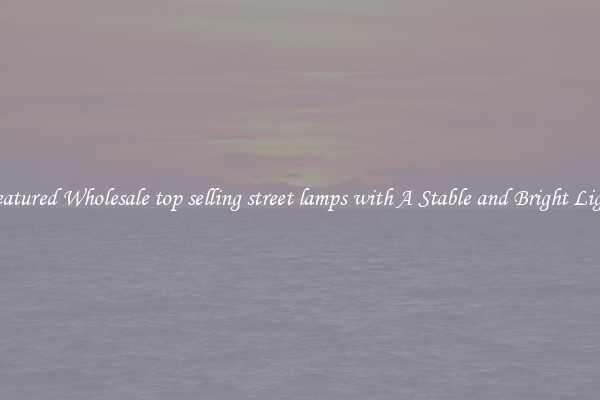 Featured Wholesale top selling street lamps with A Stable and Bright Light