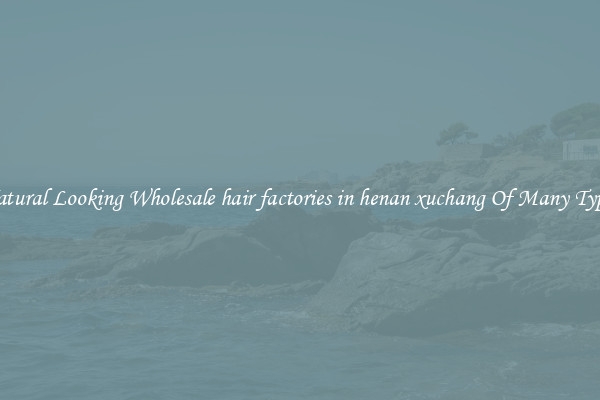 Natural Looking Wholesale hair factories in henan xuchang Of Many Types