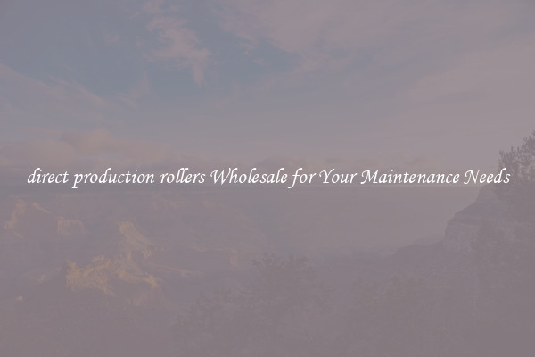 direct production rollers Wholesale for Your Maintenance Needs