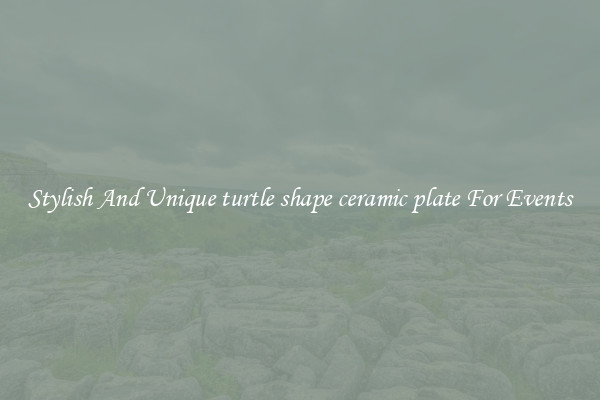 Stylish And Unique turtle shape ceramic plate For Events