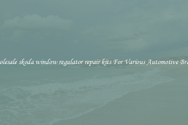 Wholesale skoda window regulator repair kits For Various Automotive Brands