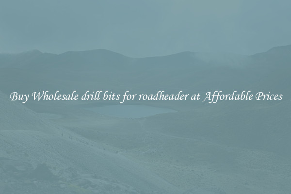 Buy Wholesale drill bits for roadheader at Affordable Prices