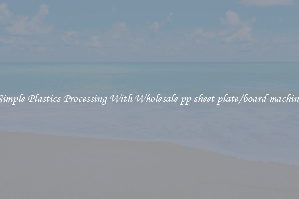 Simple Plastics Processing With Wholesale pp sheet plate/board machine